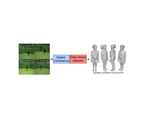 Data-Driven 3D Reconstruction of Dressed Humans From Sparse Views